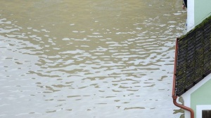 Води с високо съдържание на метали изтекли в река Луда Яна