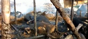 Междусъседски спор за ливади  завърши с пожар