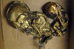 Откриха останки от бебета в колет за САЩ