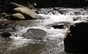 Частично бедствено положение в Пазарджишко