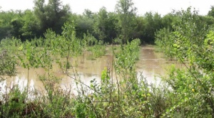 Наводнено е село Априлово, евакуираха хора