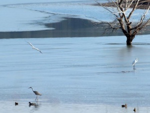 По спешност: изпускат пет язовира във Варненско