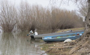 Труп на жена бе намерен на брега на река Дунав
