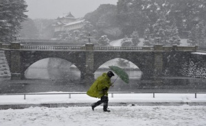 Силен сняг остави хиляди в Япония без ток, взе две жертви