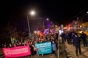 Хиляди германци протестираха против ислямизацията в Европа