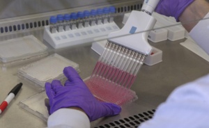 Тестове на ваксина срещу ебола са спрени заради болки