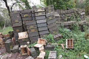 ДНК експертизите от Горни Лом са готови