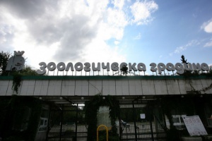 Почина женският хипопотам в столичния зоопарк