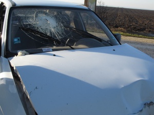 Мъж загина при катастрофа между българска и македонска коли в Сърбия