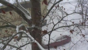 Над 100 села в Турция са откъснати от света заради снега