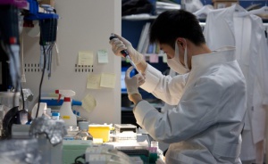 Откриха ново огнище на птичи грип в Япония