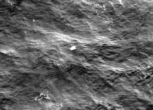 Откриха останки от изчезналия самолет на Air Asia