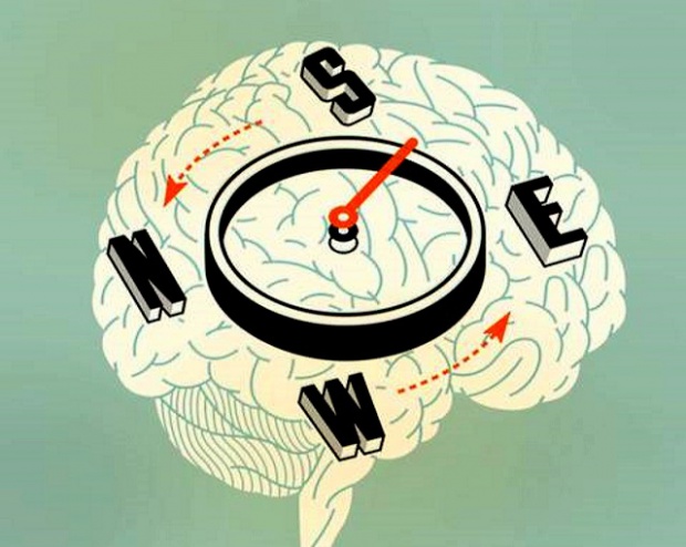 Човешкият мозък има GPS система?