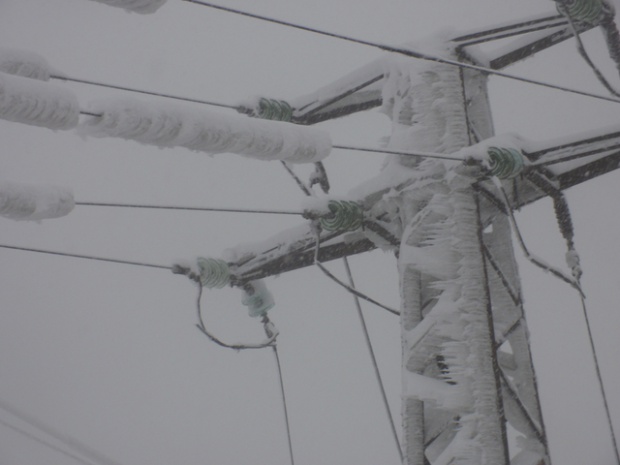 Лед събори 70 електропровода в Северозападна България