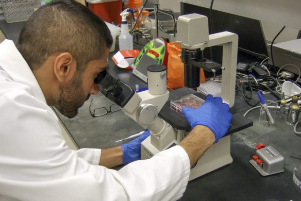 Учените откриха кой е източникът на вируса ебола?