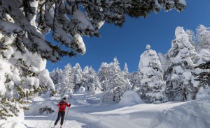 Честито на скиорите: Откриват сезона на Витоша