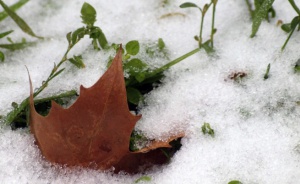 21,8 градуса в Ловеч и Търново разтопиха снега