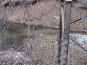 Млад мъж се удави в опит да спаси кучето си