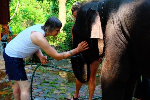 Пийт Дохърти бори хероина с грижи за слонове (СНИМКИ+ВИДЕО)