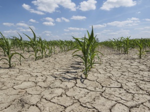 Свирепа суша обхвана Бразилия
