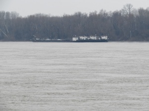 Няма замърсяване на водата в река Дунав