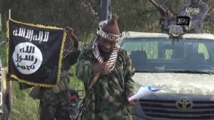 Многохиляден протест срещу джихадистката групировка „Боко харам" в Нигер