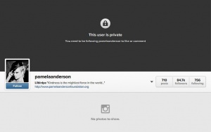Памела Андерсън премахна профилите си в Туитър и Фейсбук