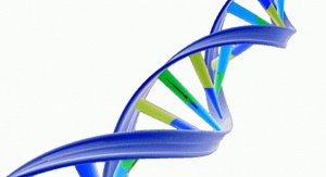 Ново: Човек използва по-активно гените от бащата