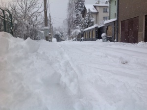 Сняг затрупа България: стотици селища без ток, ад на пътя