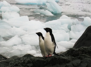 Температурен рекорд в Антарктида