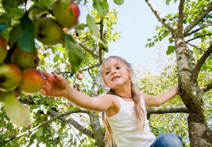 Пуснаха пътеводител на местата, където безплатно могат да се берат плодове?!