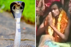 Индиец се ожени за кобра пред 15 хиляди сватбари