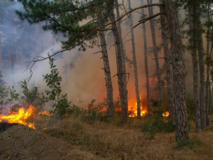 Пожарът в Благоевградско е локализиран напълно