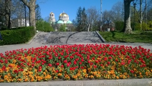 500 хиляди цветя красят София