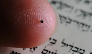 1,2 млн. букви има в Библия с размерите на иглено ухо (ВИДЕО)