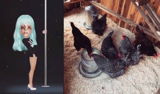 Обявиха Лейди Гага за икона, тя пък си показа кокошарника (СНИМКИ)
