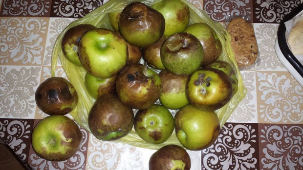 Гнили ябълки и кисело мляко с изтичащ срок – дарение за незрящи
