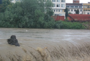 Запушен канал причини бедствено положение в Мездра