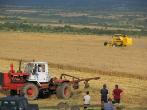 ЕК одобри 4,6 млрд. лева за българското земеделие