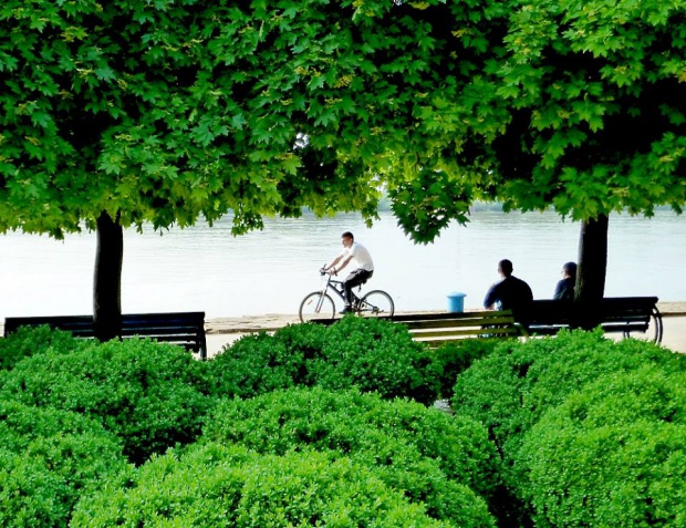 Създават карта на градските оазиси в България