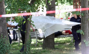 31 камери в Борисовата градина и нито една при убийството на 16-годишния Георги