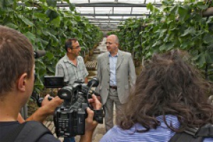 Зеленчуците в BILLA от с. Козарско са произведени по стара органична технология