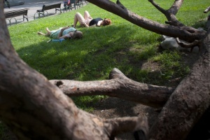 36 градуса измериха в Сандански