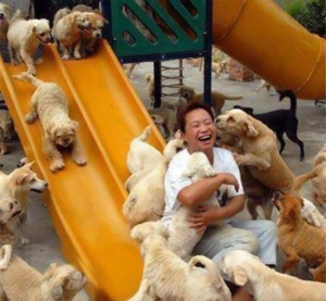 В Китай започна  фестивал на деликатеси от кучешко месо