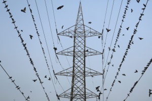 Комисията за наблюдение на КЕВР одобри отлагане поскъпването на тока