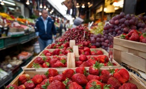 Няма пестициди в плодовете и зеленчуците от ЕС и трети страни