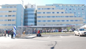 Три деца са с опасност за живота, били пометени от побеснял кон