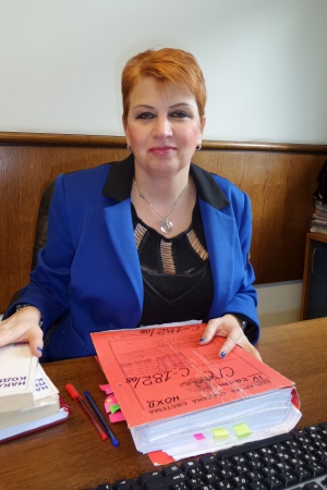 Делото срещу Владимира Янева се падна на Петя Крънчева