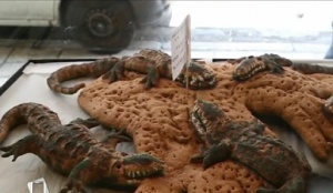 Пекарите в Атина с нов вид самун - във формата на крокодил