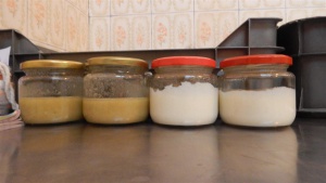 Стафилококи в пилешка супа в детска кухня в Перник